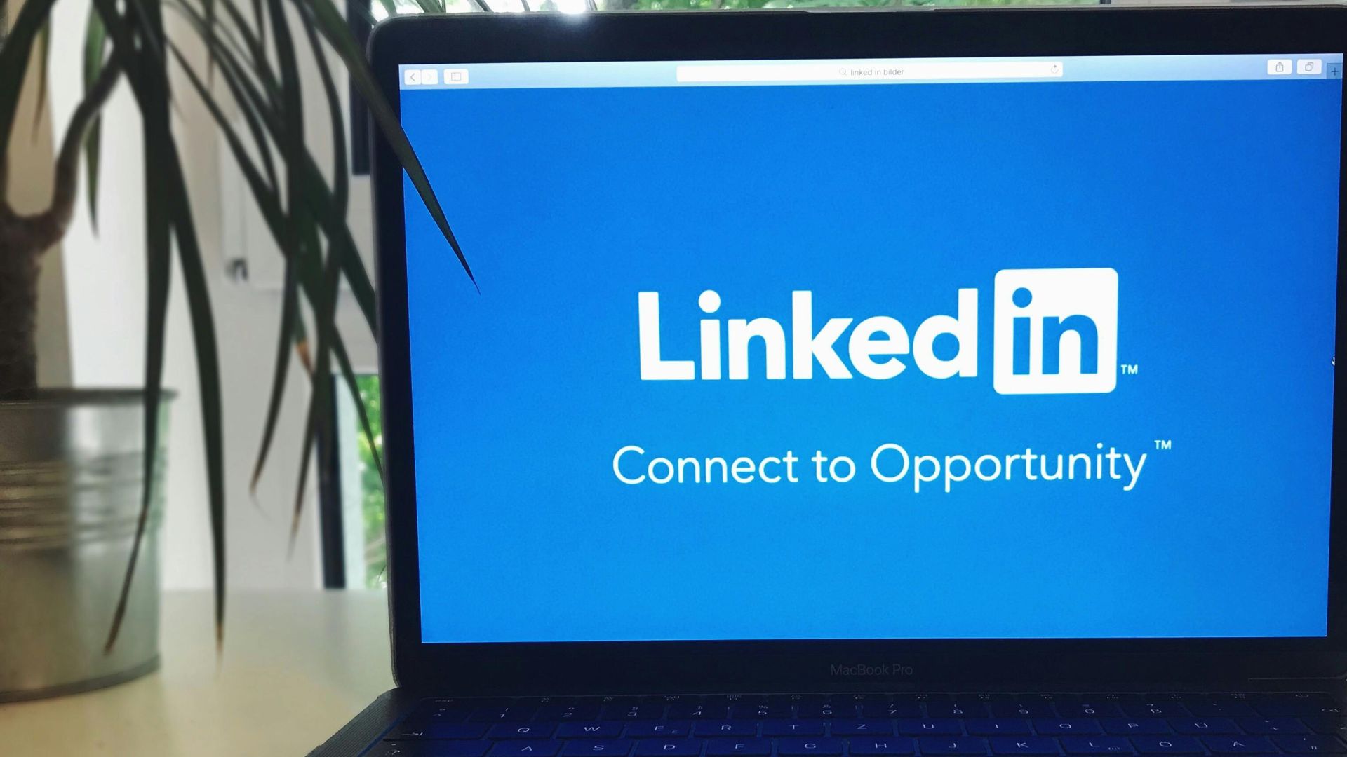 LinkedIn